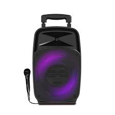 Enceinte iDance Groove 220 - 100W Bass Reflex avec USB