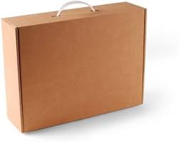 Pack de 10 Valises en Carton Kraft