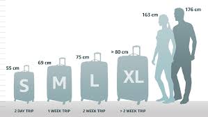 Valise Cabine Bon Air Spinner - American Tourister