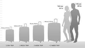 Lot de 2 Valises Rigides en Polycarbonate U.S. Traveler Boren