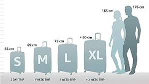 Samsonite Base Boost - Spinner S 40 cm Bagage à Main